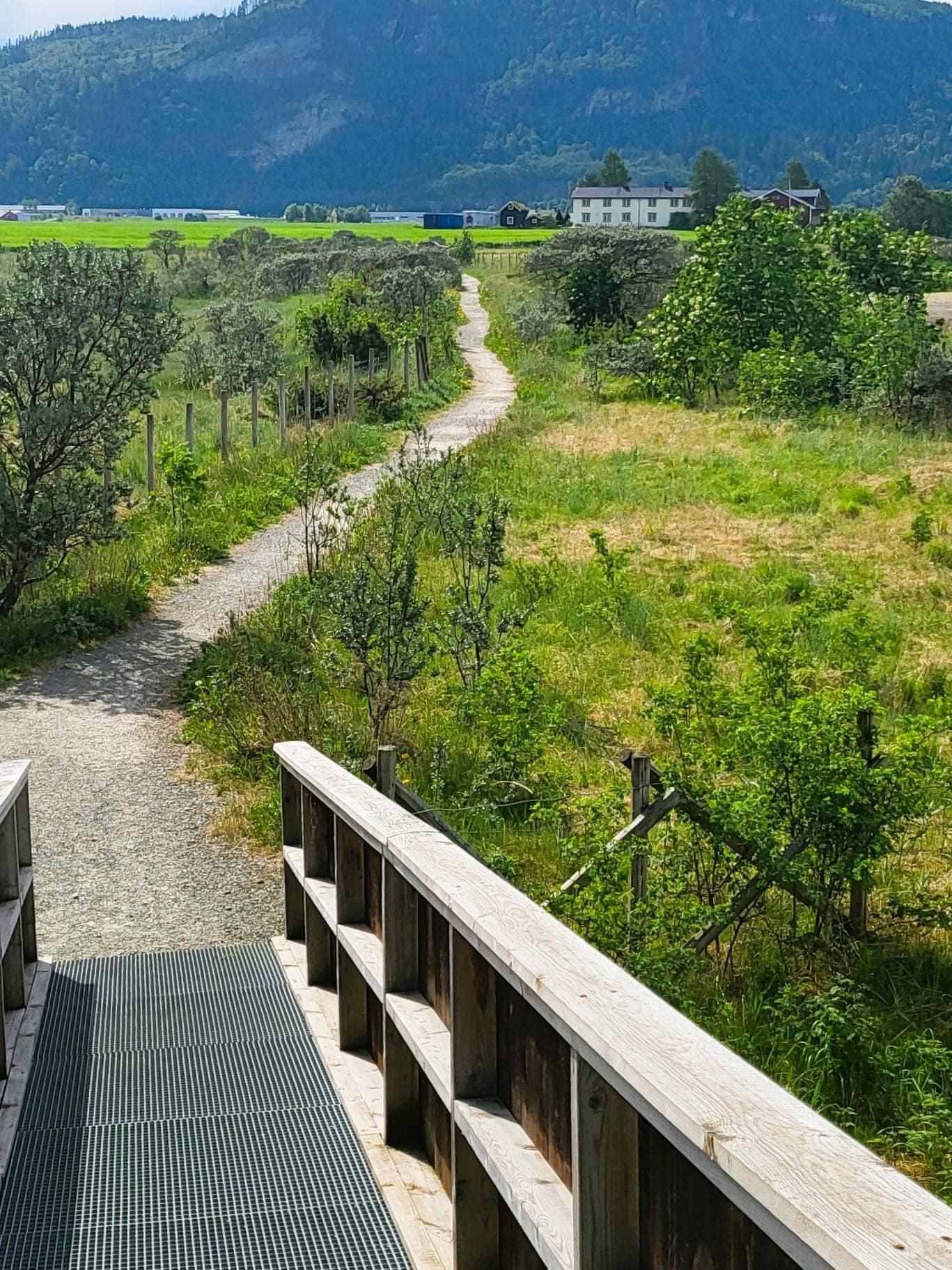 Fugle tårnet Gaulosen