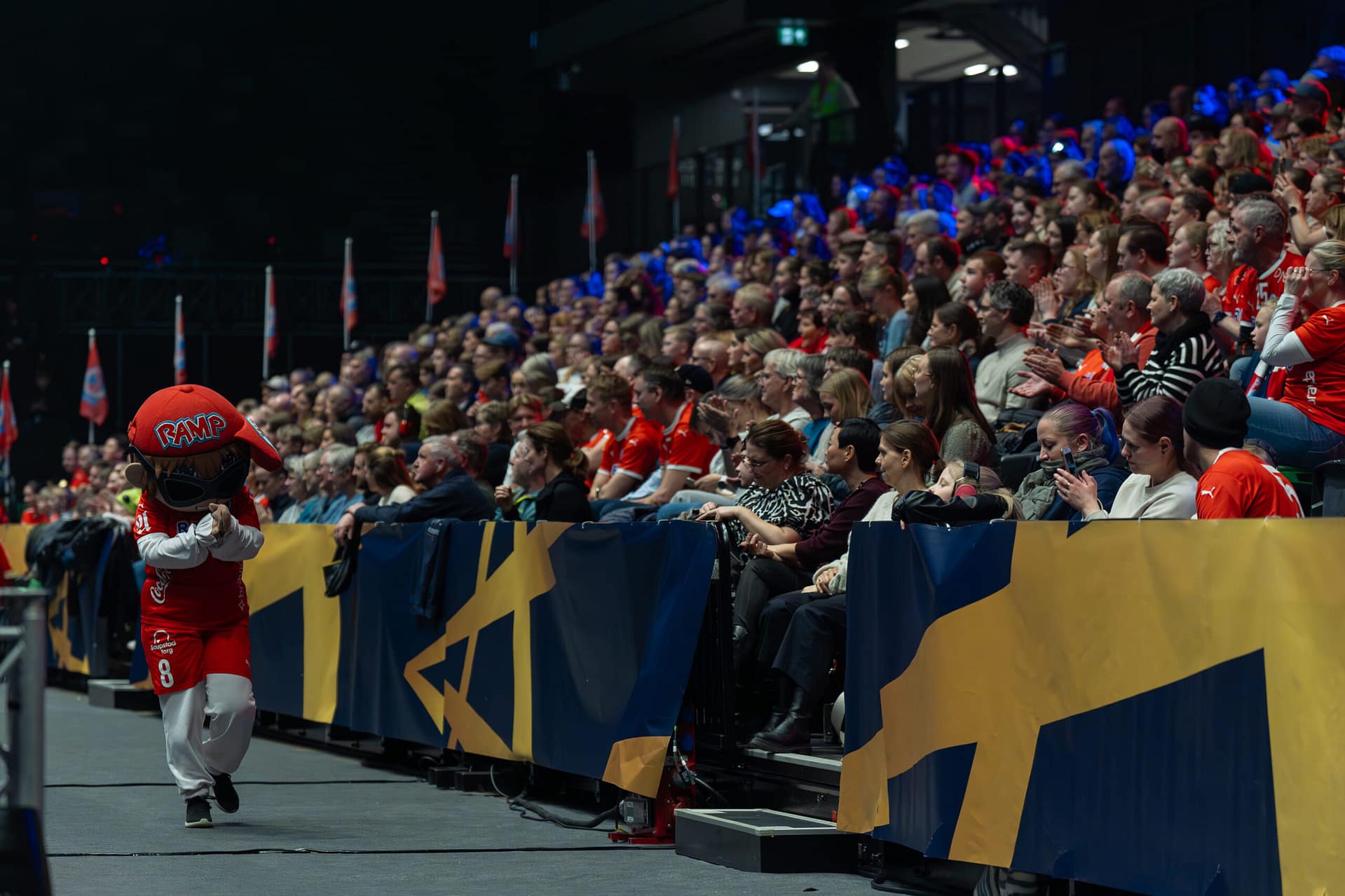 Kolstad - Pelister 06032024