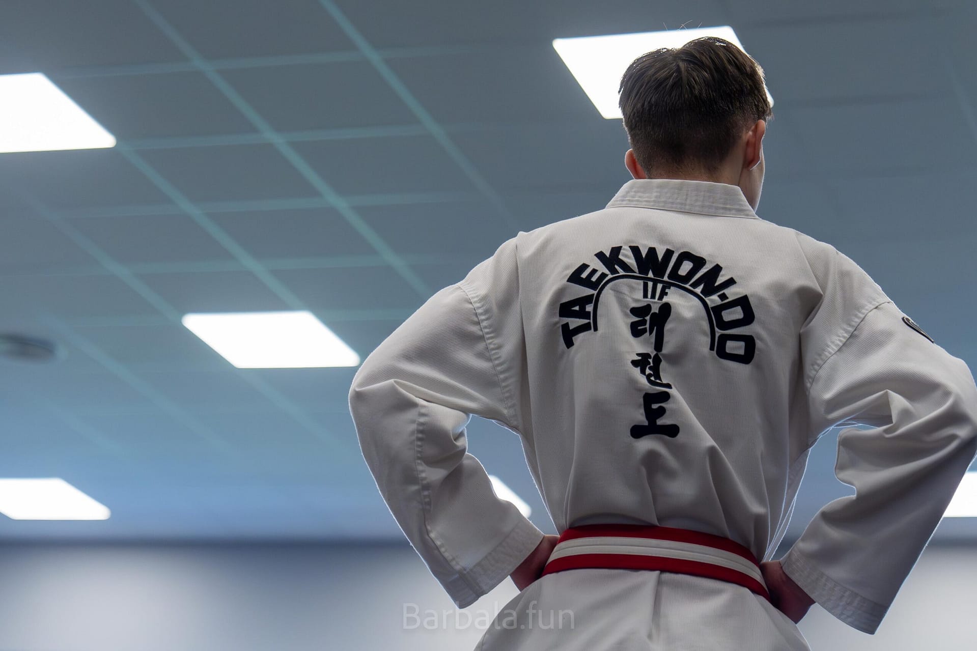 93108230-Forbedret-NR