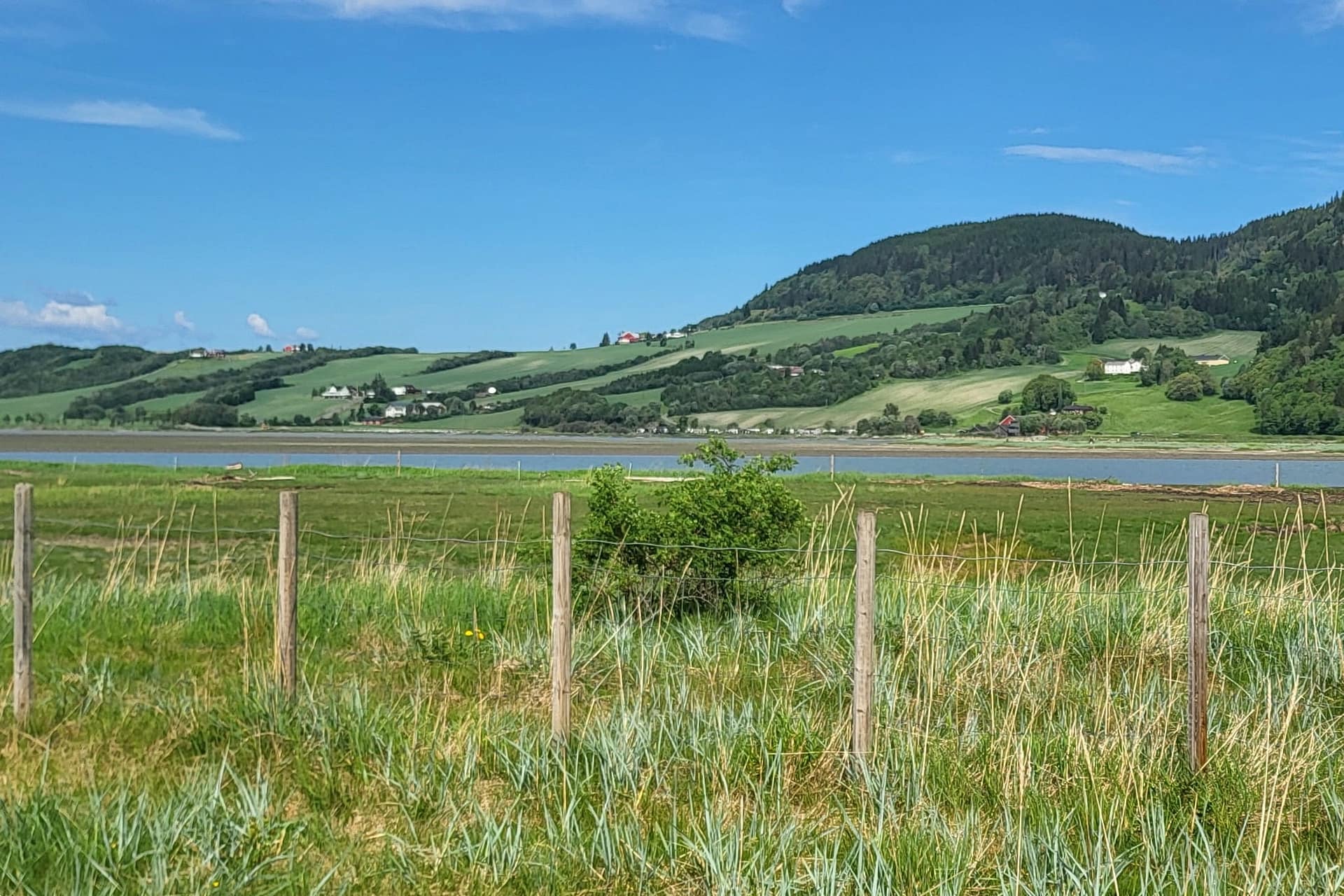 Fugle tårnet Gaulosen
