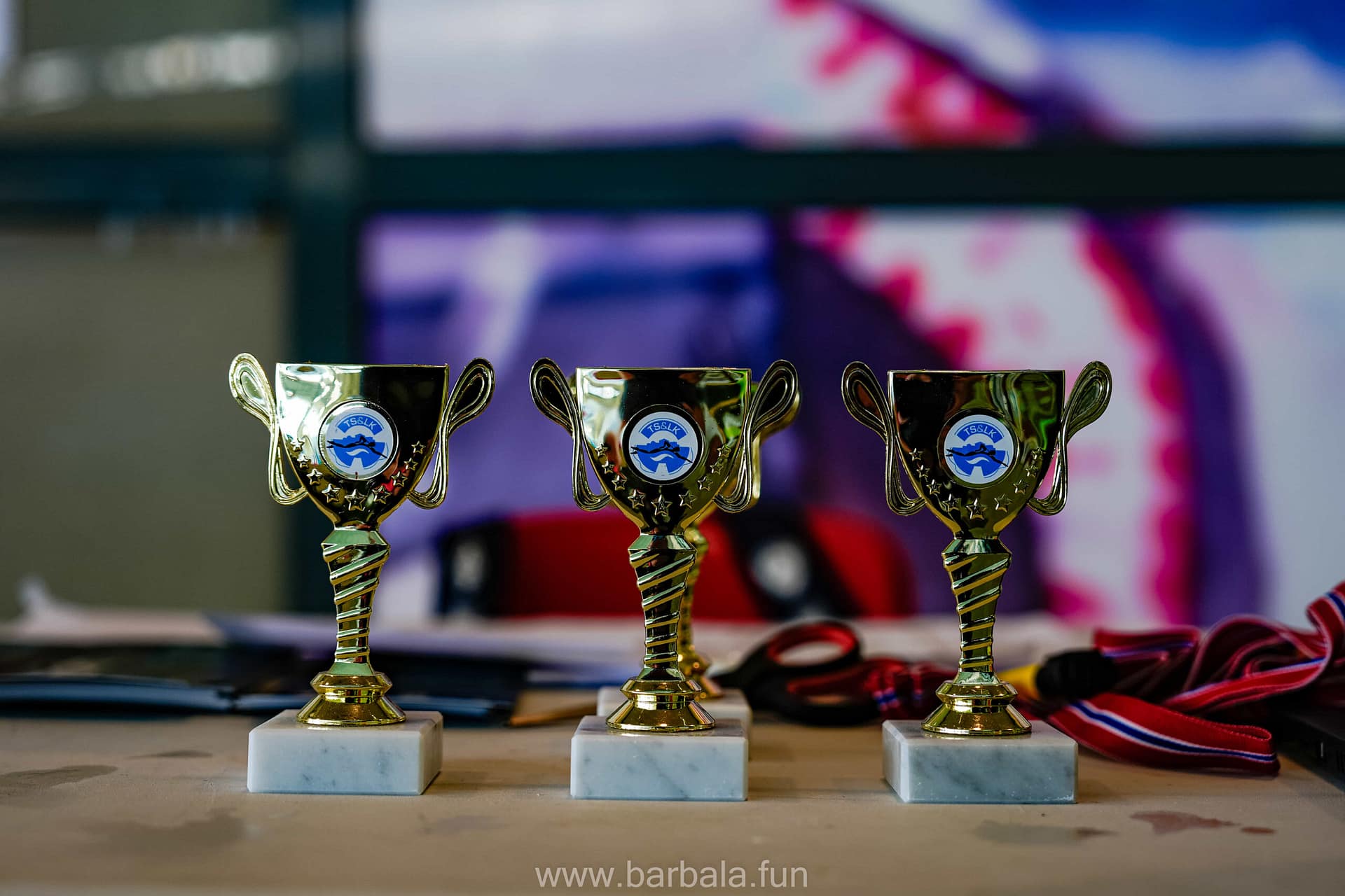 Sommersvømme stevnet 2024