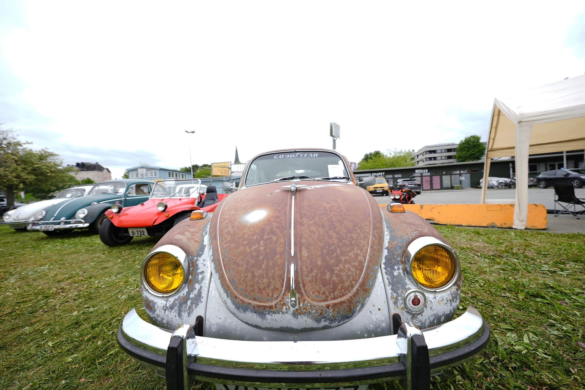 Rat Look er inn i miljøet