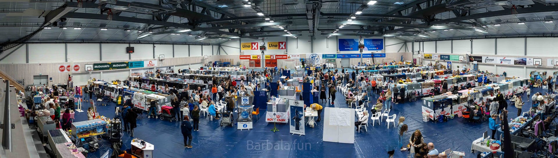 Trønderkattens Palmehelg utstilling